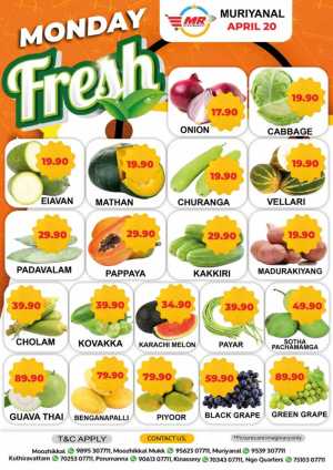 Monday sale flyer cover